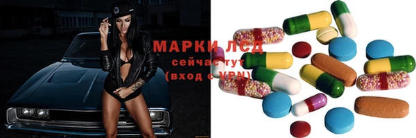 стафф Иннополис