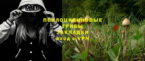 меф Инта