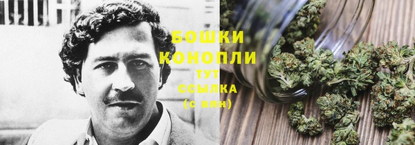 стафф Иннополис