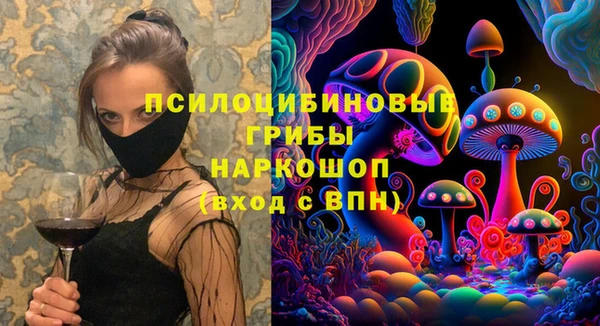 стафф Иннополис