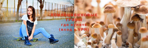 стафф Иннополис