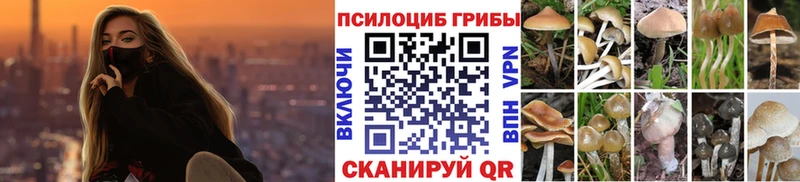 Псилоцибиновые грибы прущие грибы  Купить закладки  Гаджиево 