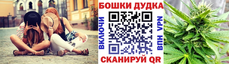 Купить где  Гаджиево  Бошки марихуана MAZAR 